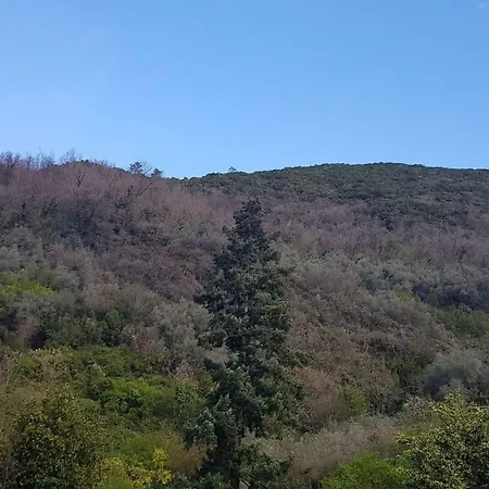 Il Villino Apartman